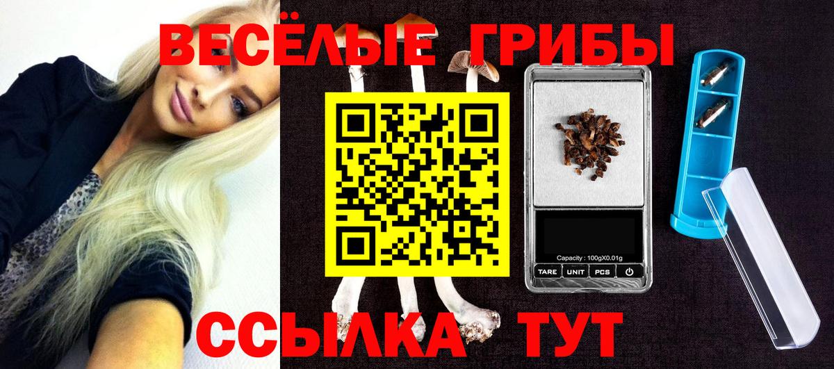 Галлюциногенные грибы прущие грибы  Вход с VPN  Избербаш  Псилоцибиновые грибы Psilocybine cubensis 
