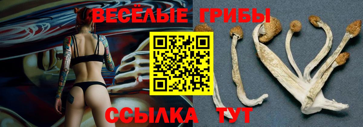 Псилоцибиновые грибы прущие грибы Избербаш